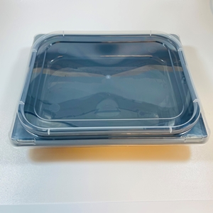 Gastronormbakken