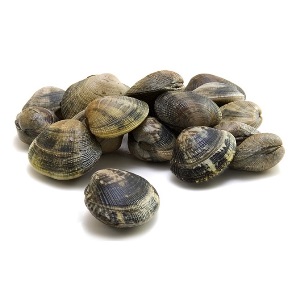 Palourdes vers netje 1 kg