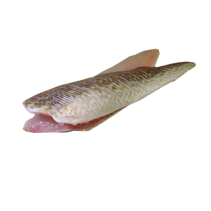 Pietermanfilet met huid