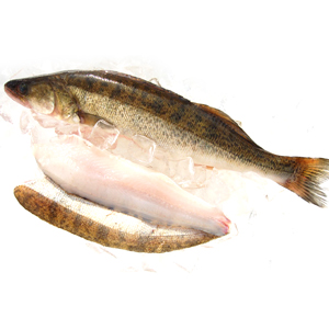 Snoekbaars met huid losse filet