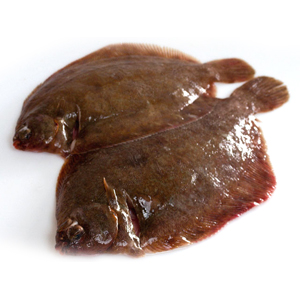 Tongschar
