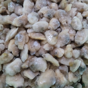 Vongole Veraci Vlees diepvries 1 kg