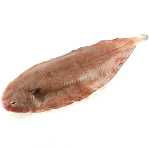 Zeetong-Sliptong
